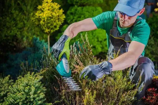landscaping services Cullen